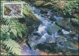 Luxembourg - Luxemburg CM 2001 Y&T N°1474 - Michel N°MK1530 - (svi) EUROPA - Cartoline Maximum