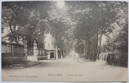 2 CARTES - AVENUE DES PATIS Et ENTRÉE PRINCIPALE DU CHÂTEAU - SCEY Sur SAÔNE - Scey-sur-Saône-et-Saint-Albin