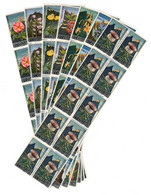 S33865 Dealer Stock San Marino 1967 MNH Flowers 7v ( X 10 Sets). - Collections, Lots & Séries