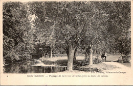 91 MONTGERON - Paysage De La Rivière D'yerres - Montgeron