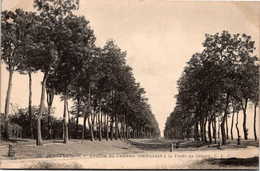 91 MONTGERON - Avenue Du Château - Montgeron