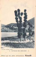 ITALIE - AQUILA - Paysages Des Abruzzes - Offert Par Les Pâtes Alimentaire Toselli - Carte Postale Ancienne - L'Aquila