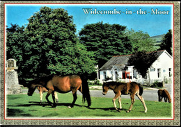 Widecombe-in-the-Moor, Dartmoor National Park, Devon - Posted 1999 To Australia With Stamp - Dartmoor