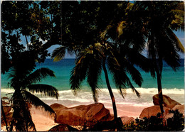 Australia Beach Scene Near Cape Tribulation North Of Cairns - Cairns