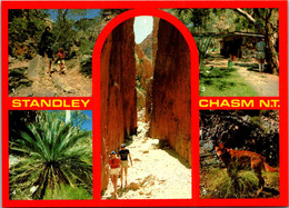 Australia Standley Chasm Multi View - Unclassified