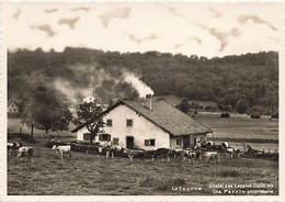 La Tourne Chalet Des Lapples Perrin Propriétaire Rochefort Animée Vaches Hôtel De  (10 X 15 Cm) - Rochefort