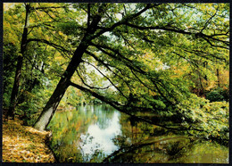 G1670 - TOP Reichenbach Stadtpark Motivkarte - Bild Und Heimat Reichenbach Qualitätskarte - Reichenbach I. Vogtl.