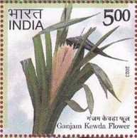 India 2023 Agricultural Goods Of India - - Geographical Fruit -  Kewda Flower 1v Rs.5.00 Stamp MNH As Per Scan - Agriculture
