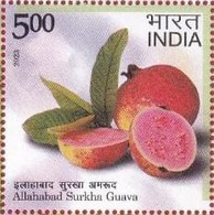 India 2023 Agricultural Goods Of India -- Geographical Fruit - Allahabad Surkha Guava 1v Rs.5.00 Stamp MNH As Per Scan - Agriculture