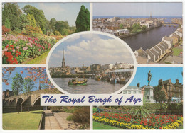 The Royal Burgh Of Ayr  -  (Scotland) - 'Whiteholme Of Dundee' Postcard - Ayrshire