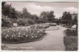 C5060) PINNEBERG  Rosengarten - Schöne Alte S/W AK - Pinneberg