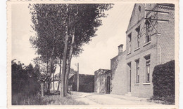 WEERT AAN DE SCHELDE      DE ZUSTERSSCHOOL - Bornem