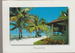 C.P. - PHOTO - MALDIVES - A RESORT BUNGALOW SURROUNDED BY VEAUTIFUL COCONUT AND TROPICAL PLANTS - MA 21 - SUN FRONT - Maldives