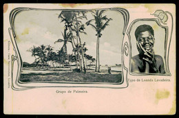 LUANDA - Grupo De Palmeira- Typo De Loanda-Lavadeira. ( Editora Casa Novecentos) Carte Postale - Angola