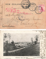 POSTCARD. NEW ZEALAND. 1905. GERALDINE FROM THE BUSH. TO EDINBURG. VIA BRINDISI. - Lettres & Documents