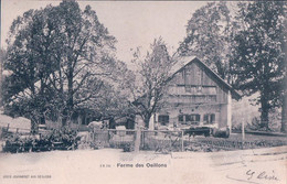 Noiraigue NE, Vaches Et Cheval Devant La Ferme Des Oeillons (29.6.1903) - Noiraigue 