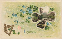 St. Patrick's Day Dear Old Ireland  On The Dargle - Saint-Patrick