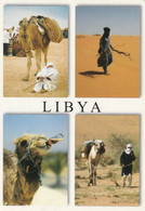 LIBYA. - Chameaux - Libia