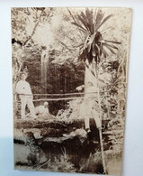 Photographie - Nouméa  - 1880 - Colon Sur Un Pont - Palmier - Dim.11/16 Cm - Sin Clasificación