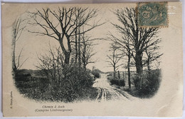 Chemin à Asch (Campine Limbourgeoise). Carte Précurseur - Niel