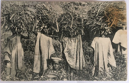 Sierra Leone - Children Carrying Wood. Animée - Sierra Leone