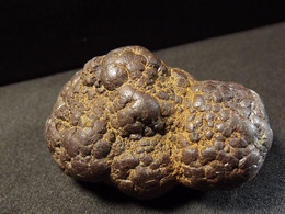 Marcassite Nodule ( 4.5 X 3 X 2.5  Cm) Wimereux - Pas De Calais - France - Minéraux