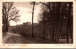 49 MONTREVAULT - Paysage Et Vieux Château - Montrevault