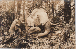 MALAYSIE / MALAISIE / HUNTING /  CHASSE A L'ELEPHANT L. R. HUBBACK / RARE CARTE PHOTO - Malaysia