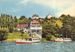 Meisterschwanden Halwilersee Hotel Delphin Schiffe Gaberell Karte - Meisterschwanden