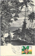 Wallis Et Futuna 4 Aou 1958 N°159 - Briefe U. Dokumente