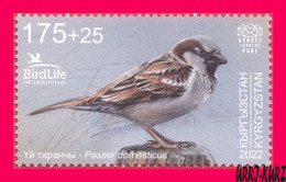 KYRGYZSTAN 2022-2023 Nature Fauna Birds Bird Of Year House Sparrow 1v Mi KEP 188 MNH - Sparrows