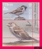 KYRGYZSTAN 2022-2023 Nature Fauna Birds Bird Of Year House Sparrow 1v+ Mi KEP 188 MNH - Spatzen