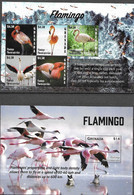 GRENADA, 2020, MNH, BIRDS, FLAMINGOS,  SHEETLET+ S/SHEET - Flamingos