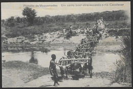 Postal Angola - Planalto De Mossamedes - Um Carro Boer Atrevessando O Rio Caculovar - CPA Animé Bœufs Tribe Oxen - Angola
