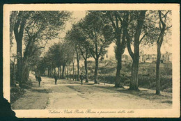 CLM113 - VELLETRI ROMA VIALE PONTE ROSSO E PANORAMA DELLA CITTA' - ANIMATA 1911 - ANGOLINO STRAPPATO - Velletri