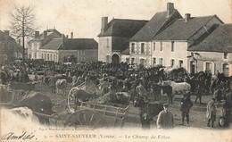 89 - YONNE - SAINT-SAUVEUR - Thème Marchés -le Champ De Foire - Superbe - 11367 - Marchés