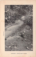 BENIN - DAHOMEY - Chemin Dans La Brousse - Edition ER - Carte Postale Ancienne - Benín