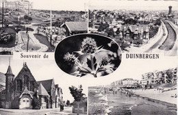 Duinbergen SOUVENIR - Heist