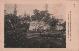 Nouvelle Caledonie - Ile Des Pins - Roche Couverte De Vegetations A Uro - Carte Postale Ancienne - - Nuova Caledonia
