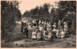 Ravels (O. L. Vrouw Van De Kempen) - Openluchtschool Voor Zwakke Meisjes, Een Dreef In Het Zes Hectaren Park - Ravels