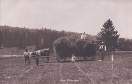 Fleurier NE, La Récolte Des Foins, Attelage D'un Boeuf (5745) - Fleurier