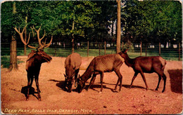 Michigan Detroit Belle Isle Deer Park - Detroit