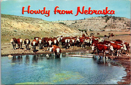 Nebraska Howdy With Cattle At Their Water Hole - Sonstige & Ohne Zuordnung