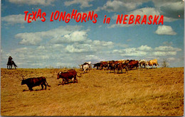 Nebraska Fort Niobrara National Wildlife Refuge Texas Longhorns - Sonstige & Ohne Zuordnung