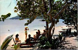 St Thomas The Island Beachcomber Hotel Private Beach - Islas Vírgenes Americanas