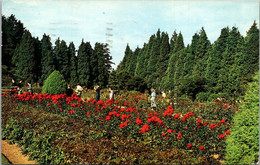 Washington Seattle Woodland Park Formal Gardens 1960 - Seattle