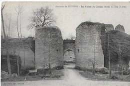 Dordives. Les Ruines Du Chateau Feodal Du Mée. - Dordives