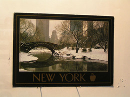 New York > New York City > Central Park In Winter - Central Park