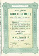 Titre De 1948 - Société Anonyme Des Usines De Colonster - - Industrie