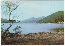 Loch Tay From Kenmore, Perthshire - (Scotland) - Perthshire